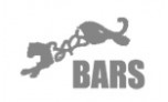 BARS